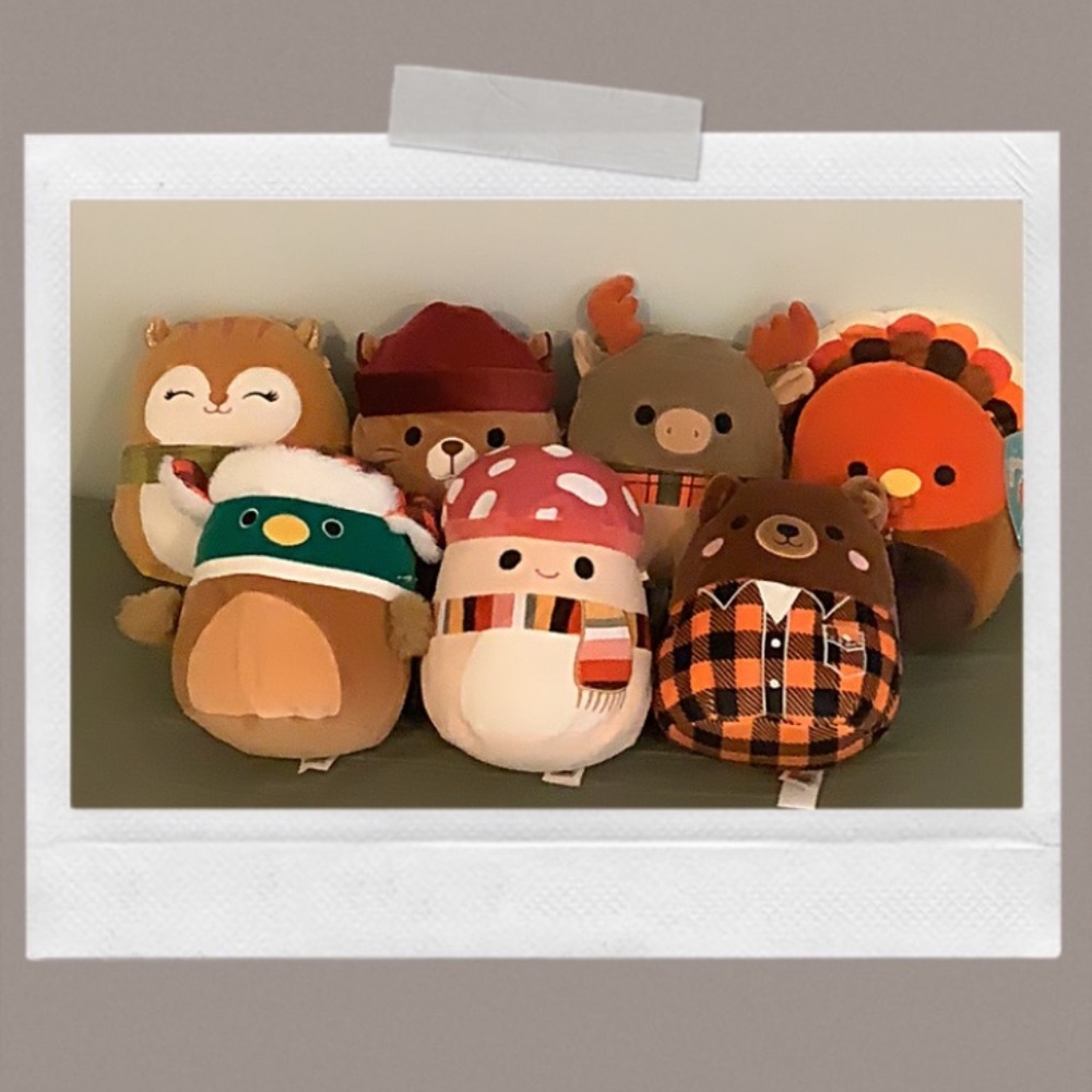 (Sold) SET OF 7   8" Fall / Autumn Harvest Squad Squishmallows Plush with tag